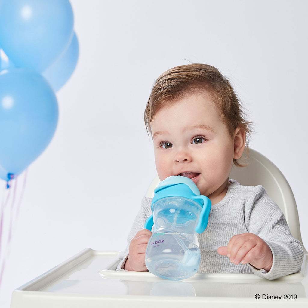 Disney Sippy Cup - Elsa