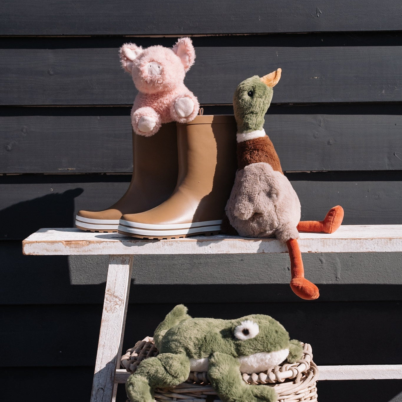 Hugo the Mallard Duck