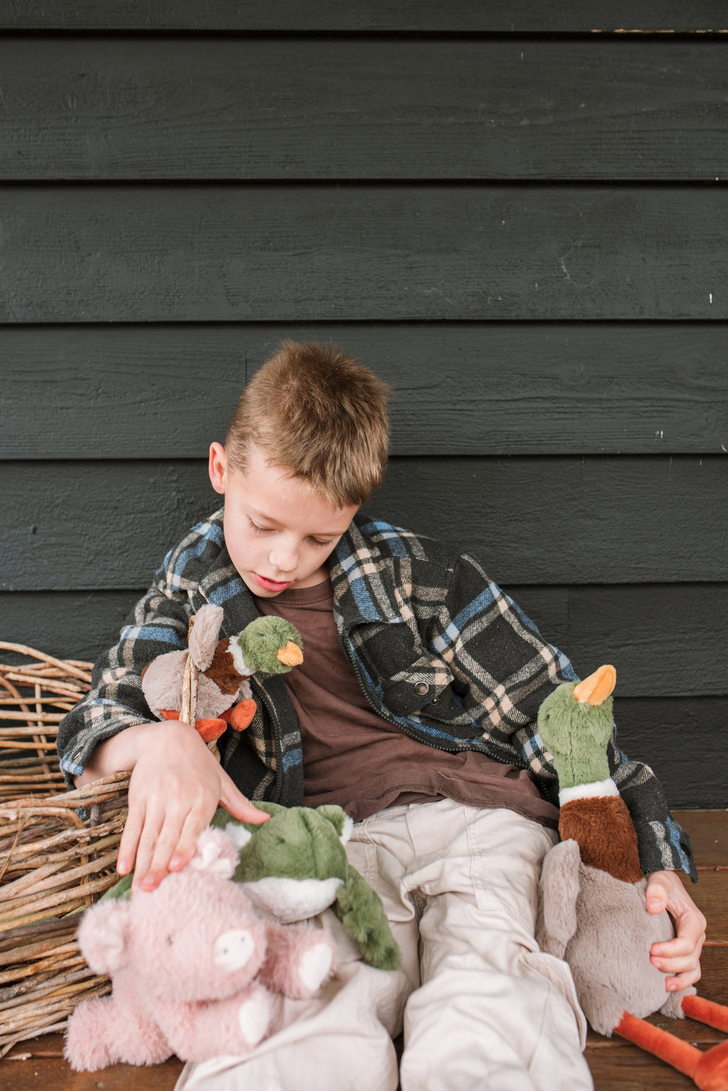 Hugo the Mallard Duck