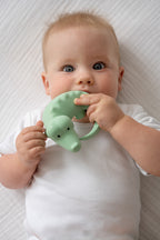 My First Zoo Animal Bundle