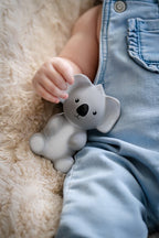 My First Australian Animal - Koala