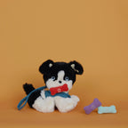 Dinkum Dogs Bone Set - Fiesta