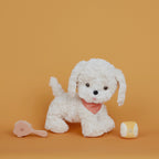 Dinkum Dogs Starter Set - Mustard