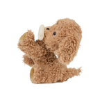 Dinkum Dog - Goldie