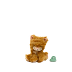 Binky Kitten Koda Ginger