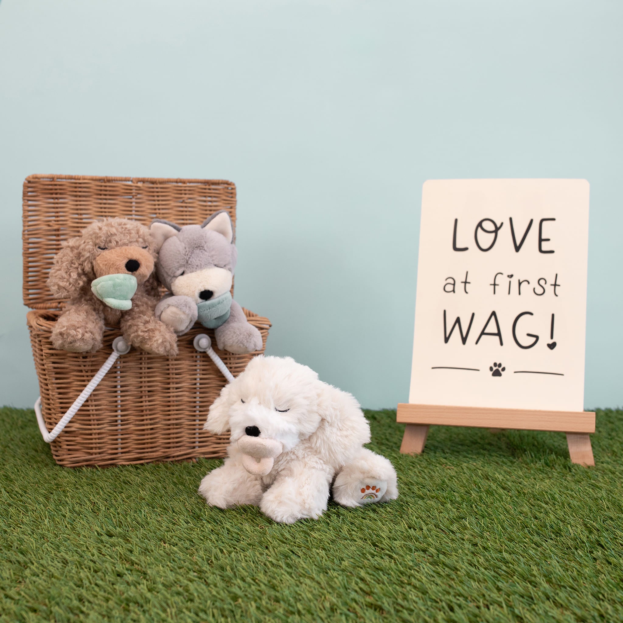 Binky Puppy - Belle