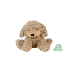Binky Puppy - Benny