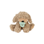 Binky Puppy - Benny