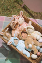 Dinky Dinkum - Bucky Bunny