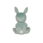 Dinky Dinkum - Biscuit Bunny - Mint
