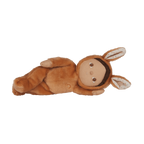 Dinky Dinkum - Bucky Bunny - Toffee