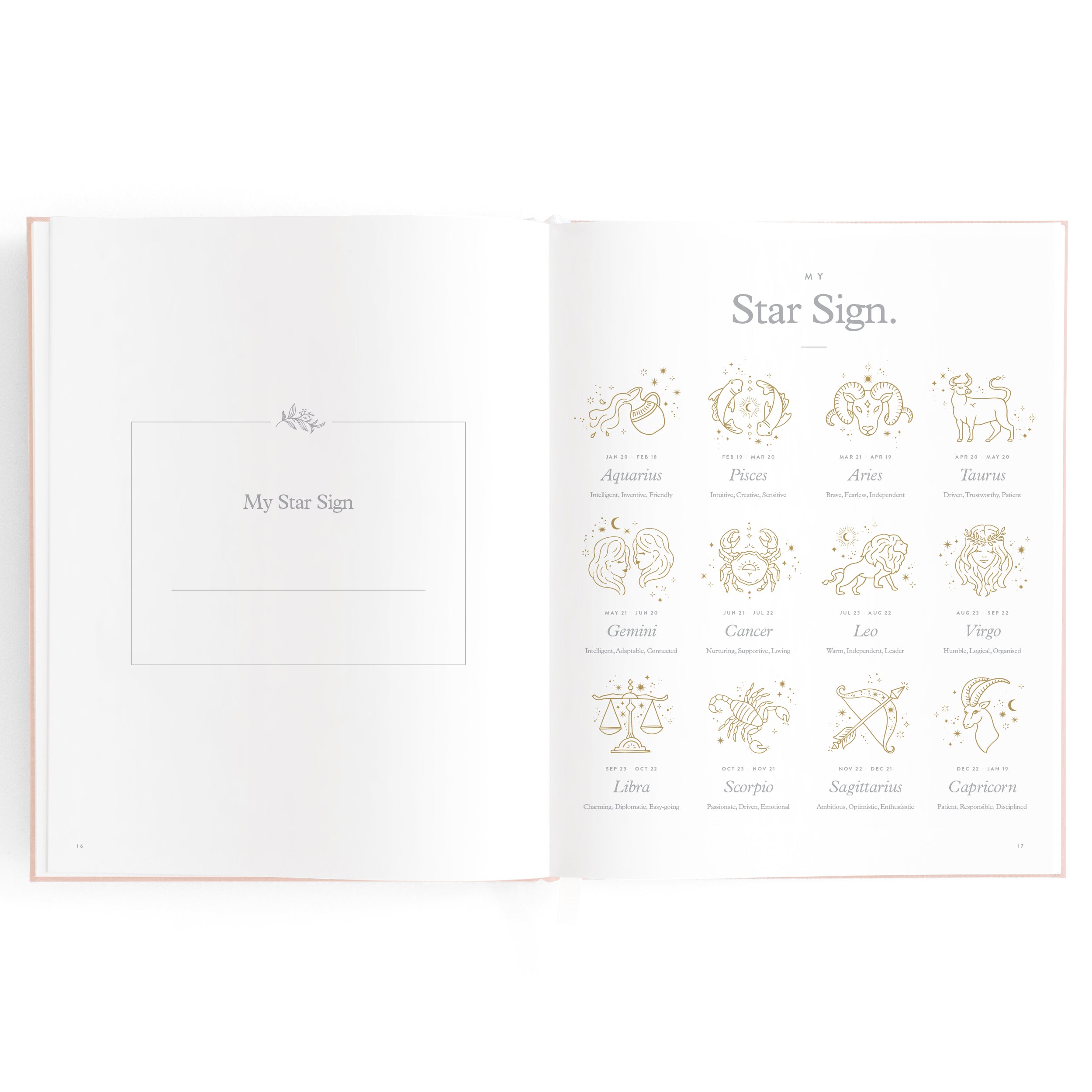 Fox & Fallow Baby Book - Rose