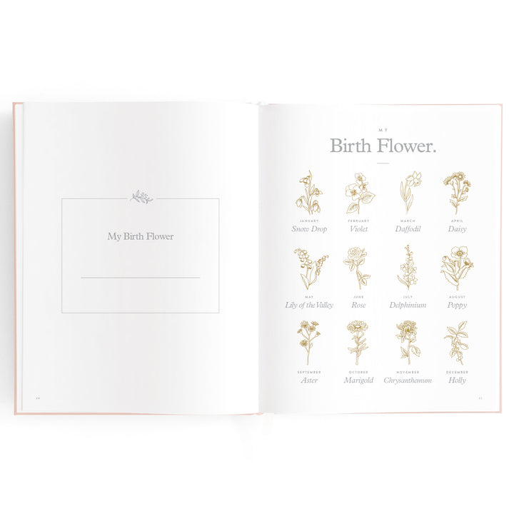 Fox & Fallow Baby Book - Rose