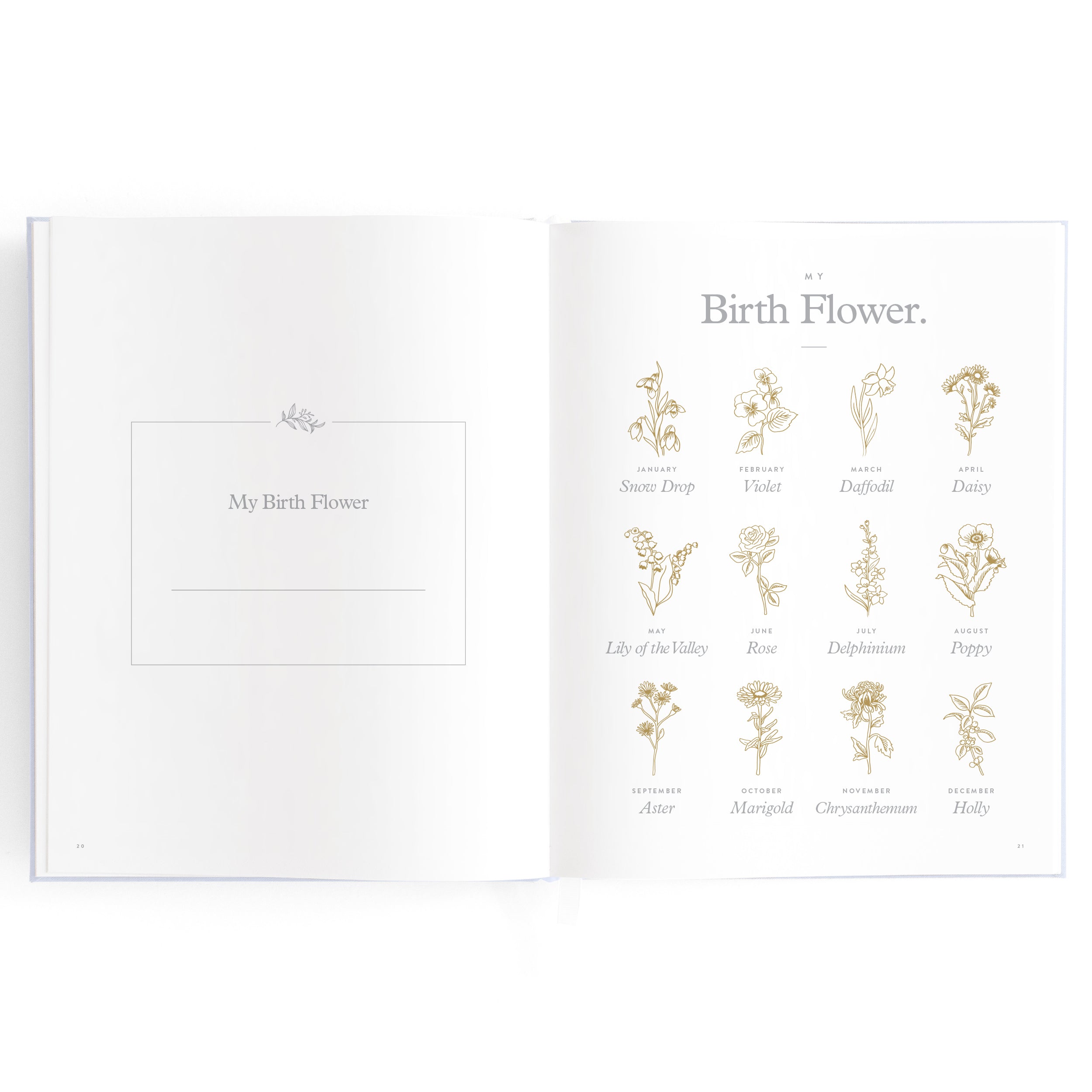 Fox & Fallow Baby Book - Powder