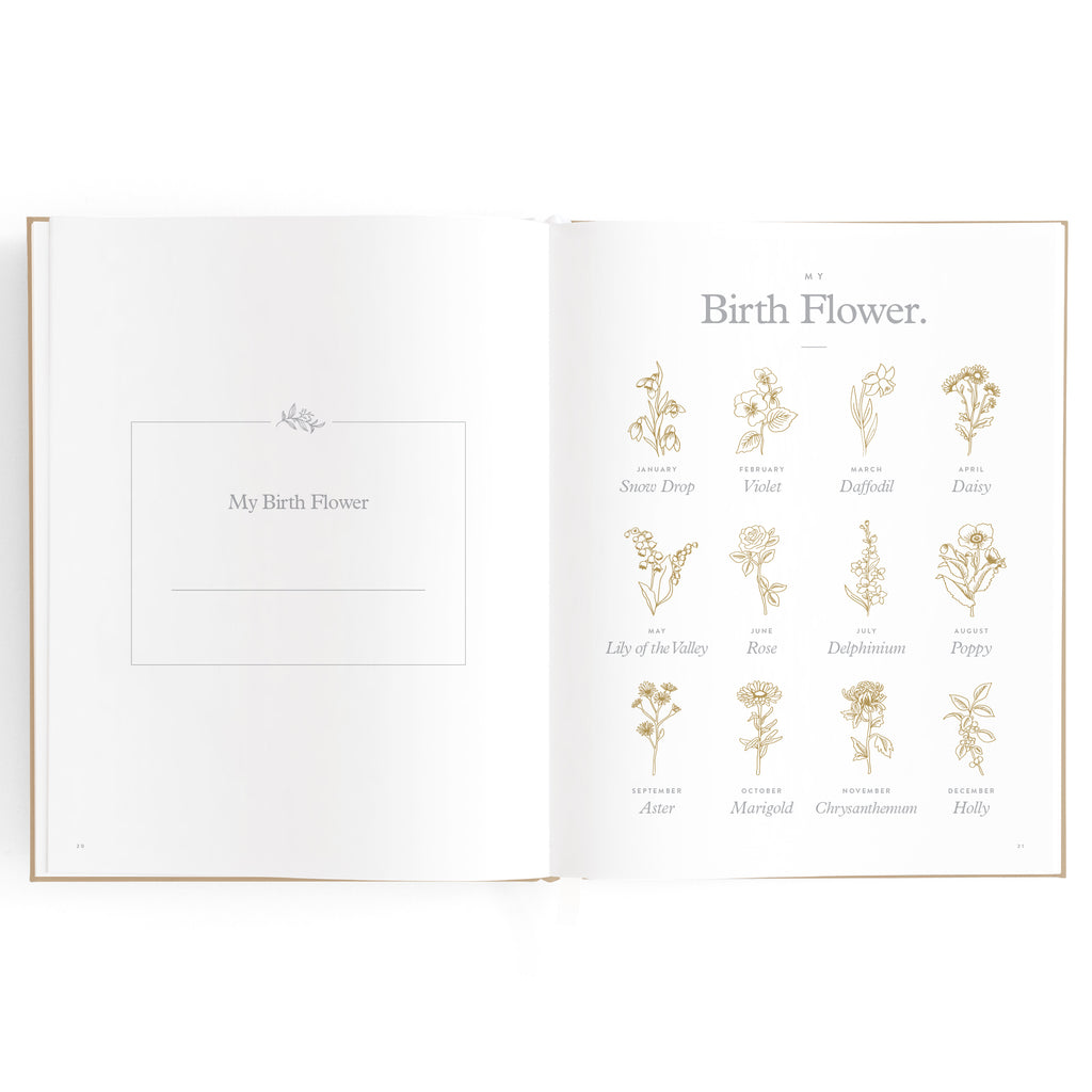 Fox & Fallow Baby Book - Biscuit