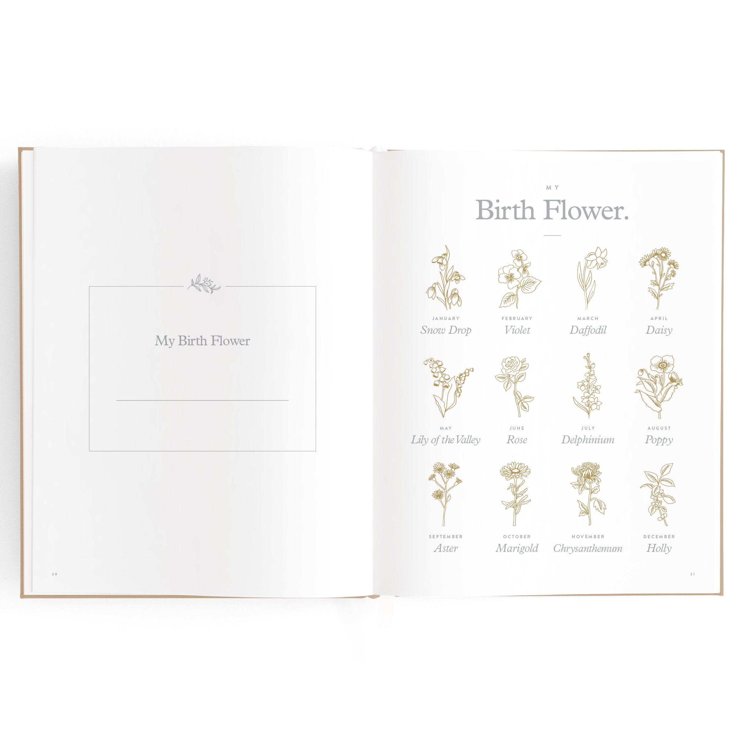 Fox & Fallow Baby Book - Biscuit
