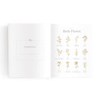 Mini Baby Book - Oatmeal