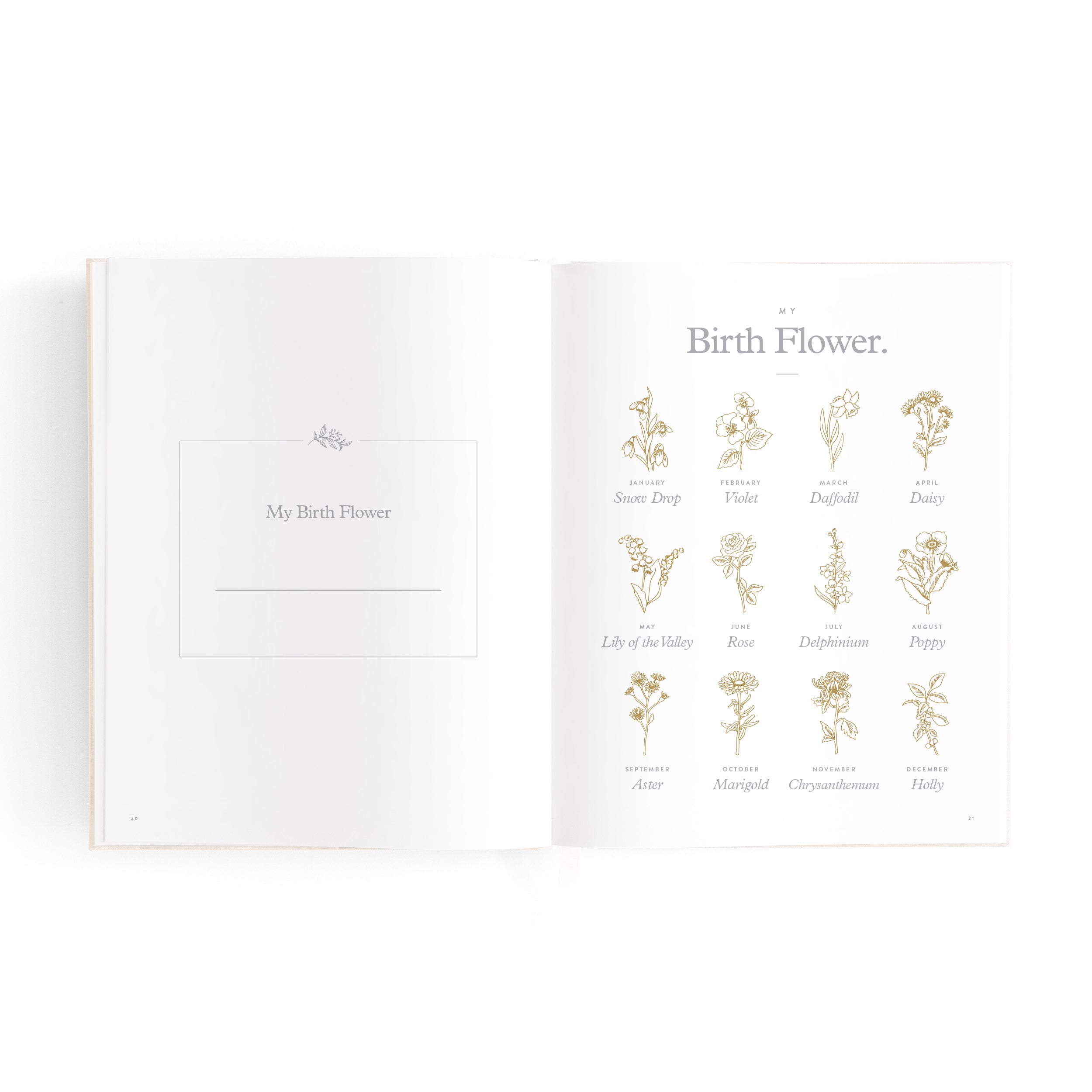 Fox & Fallow Mini Baby Book - Oatmeal