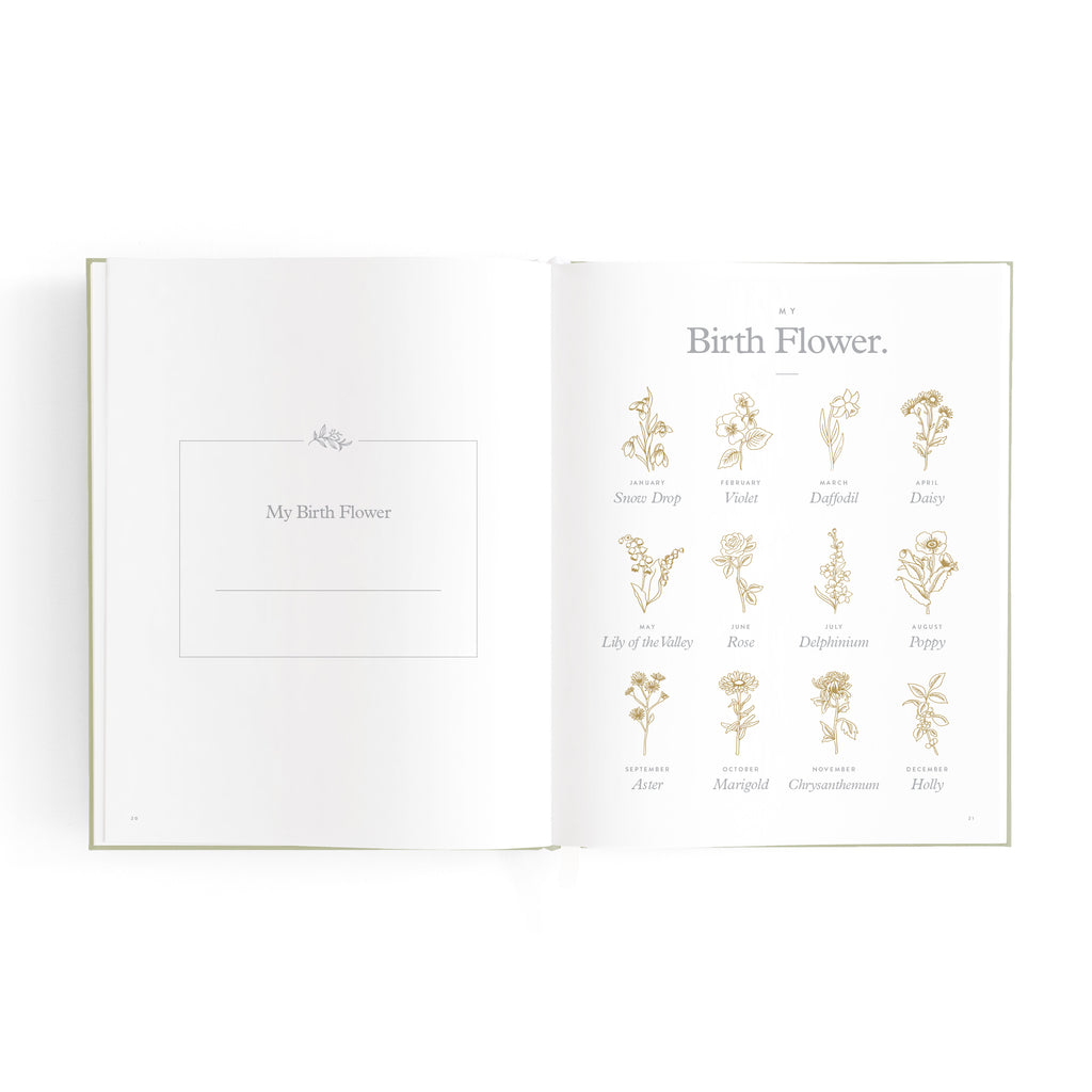 Fox & Fallow Mini Baby Book - Sage