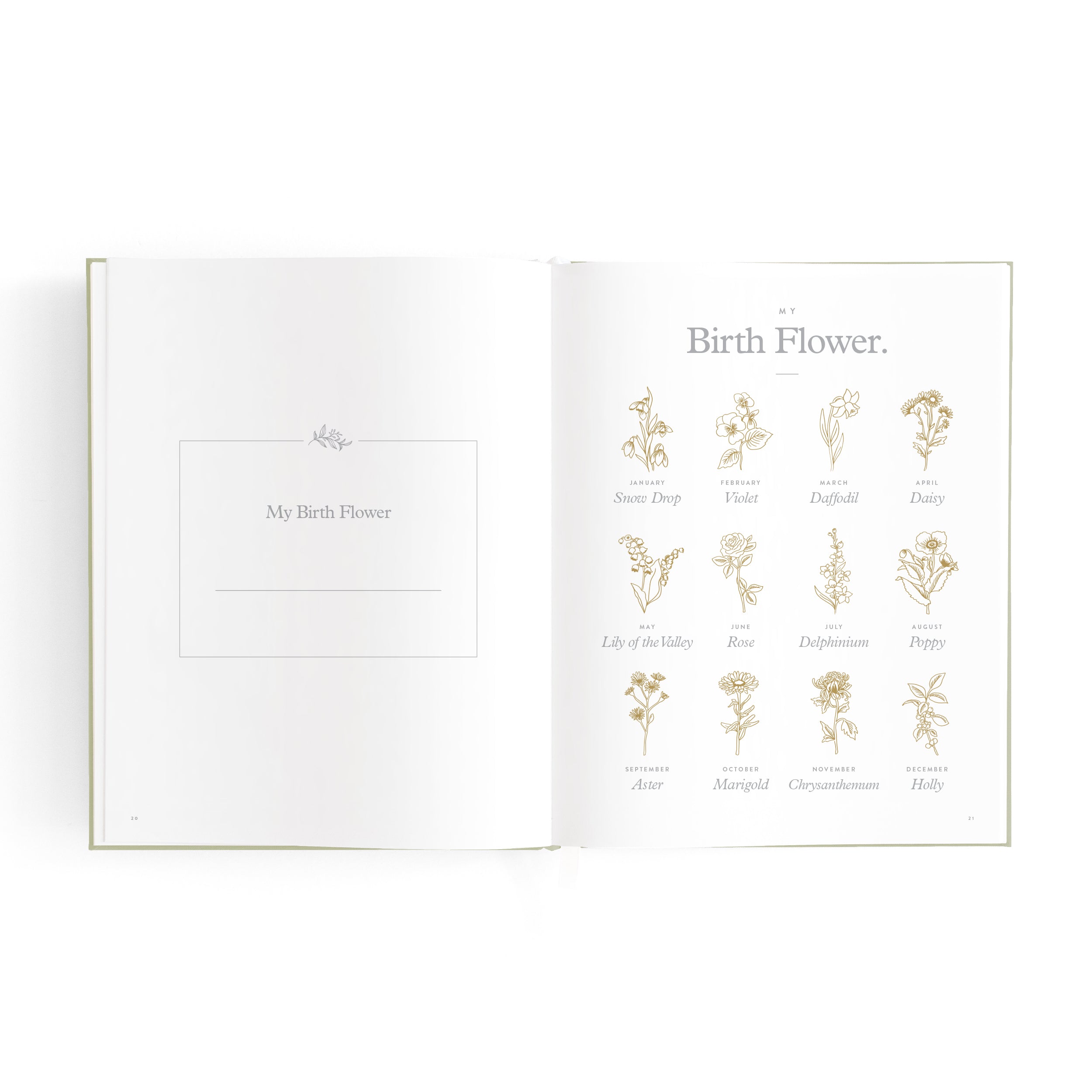 Fox & Fallow Mini Baby Book - Sage