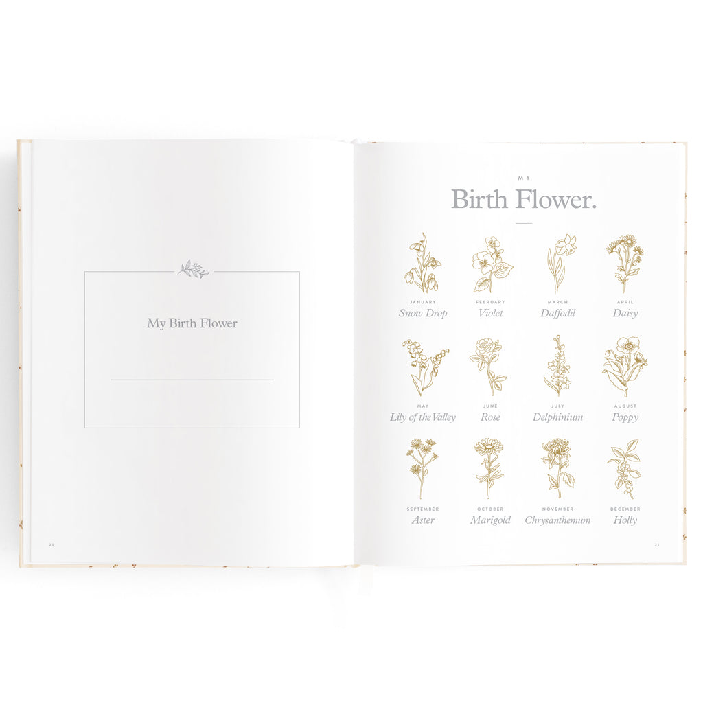Fox & Fallow Baby Book - Broderie