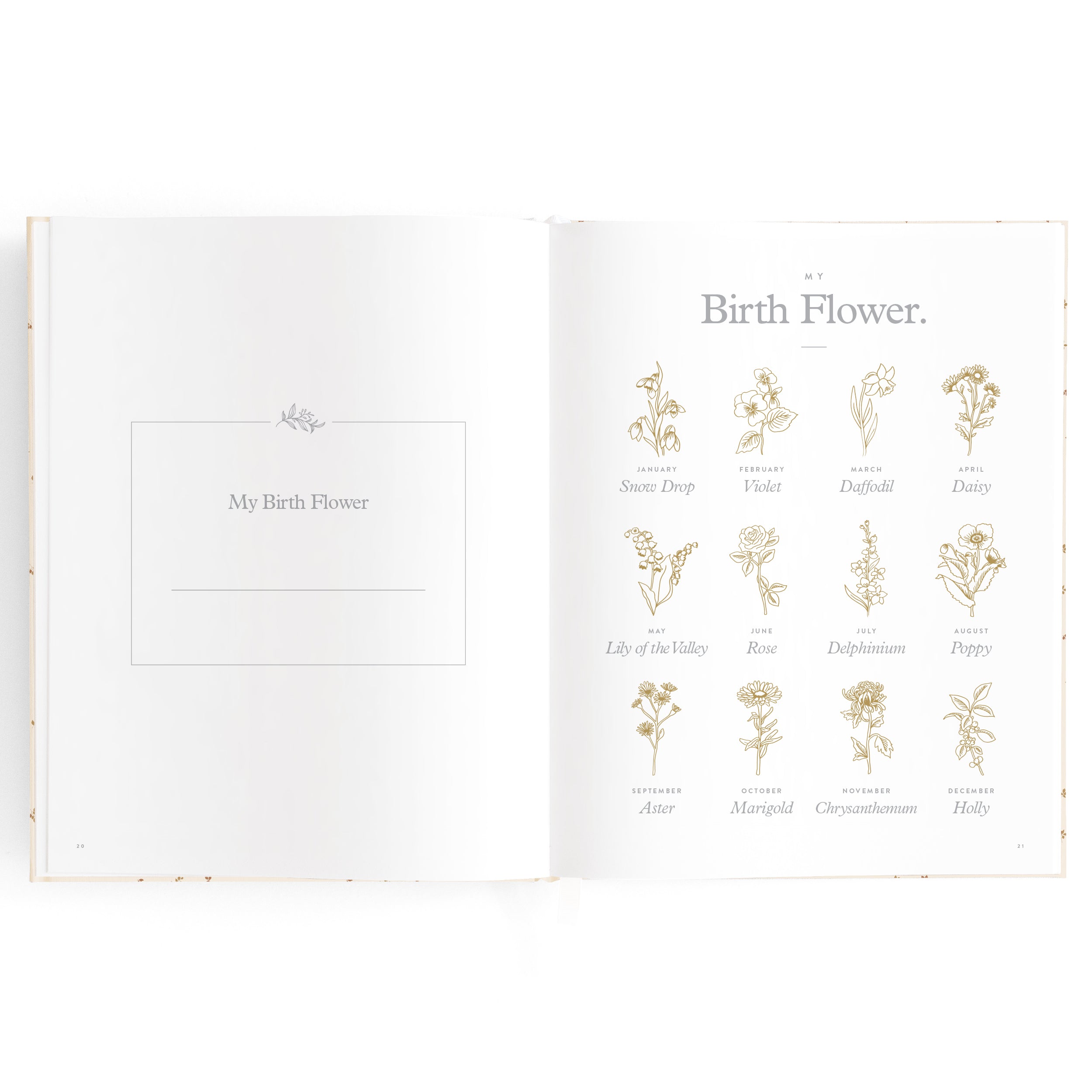 Fox & Fallow Baby Book - Broderie