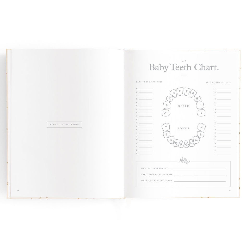 Fox & Fallow Baby Book - Broderie
