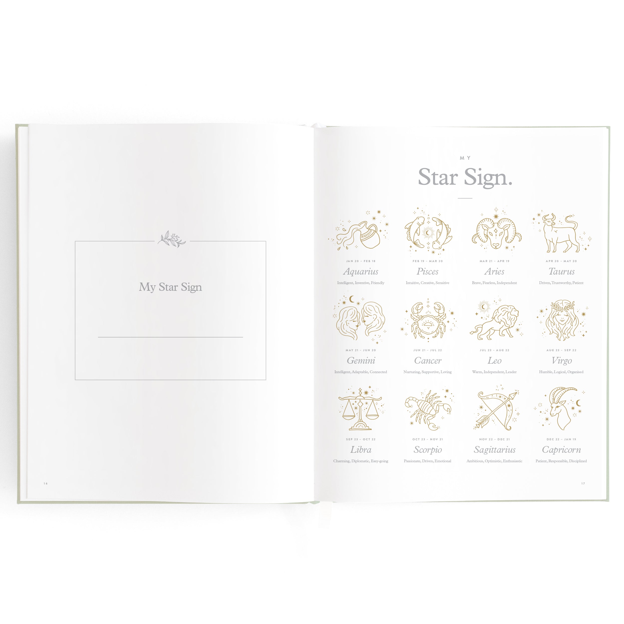 Fox & Fallow Baby Book - Pistachio