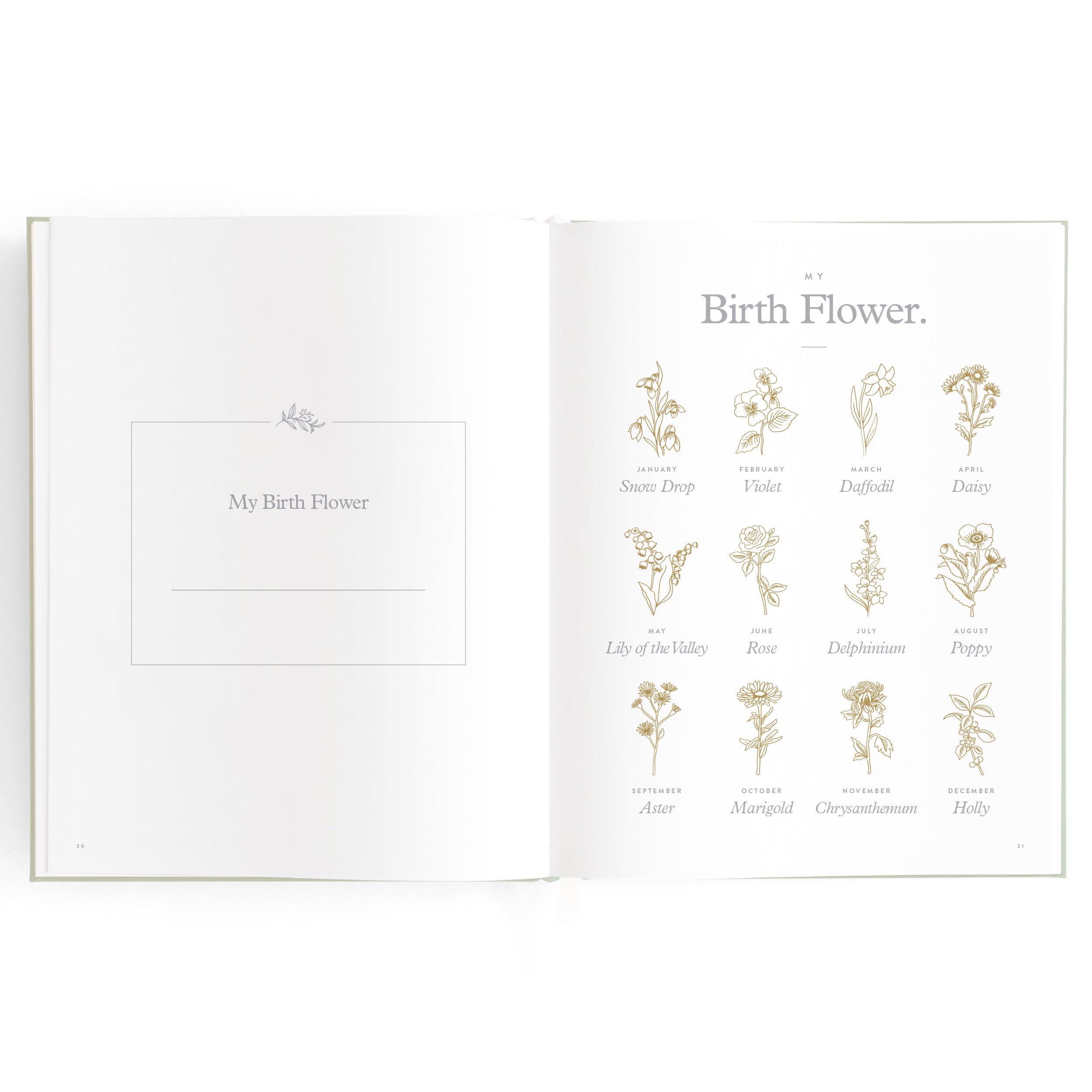 Fox & Fallow Baby Book - Pistachio