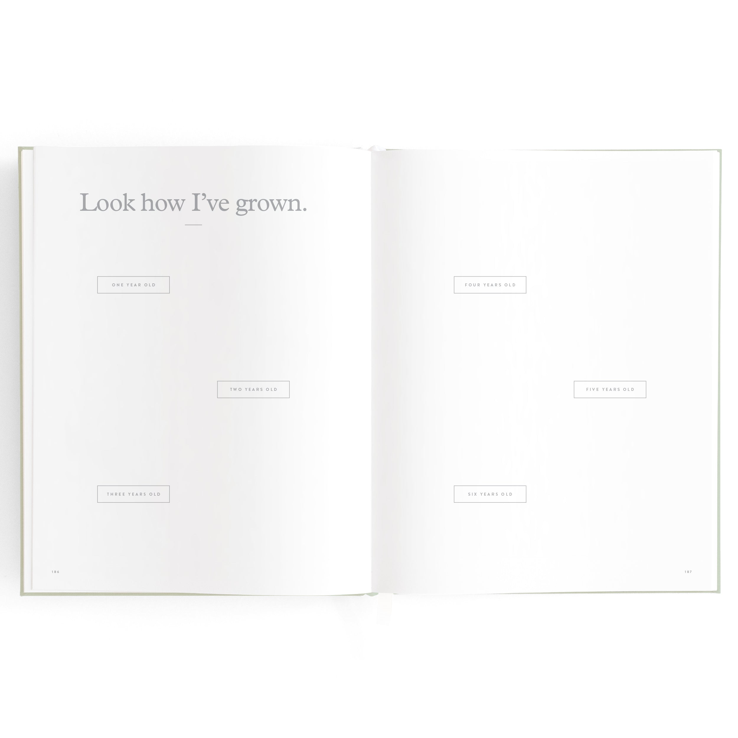 Fox & Fallow Baby Book - Pistachio