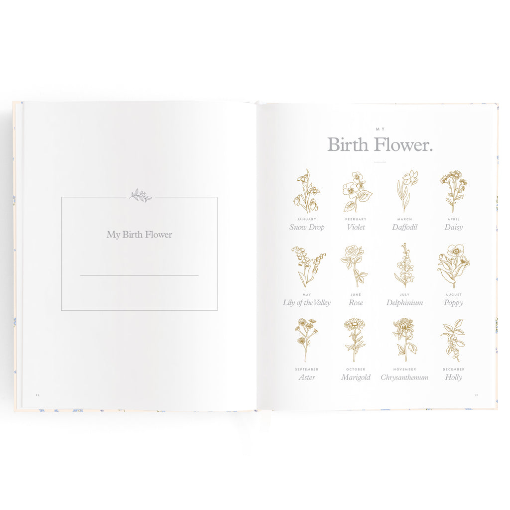 Fox & Fallow Baby Book - Forget Me Not