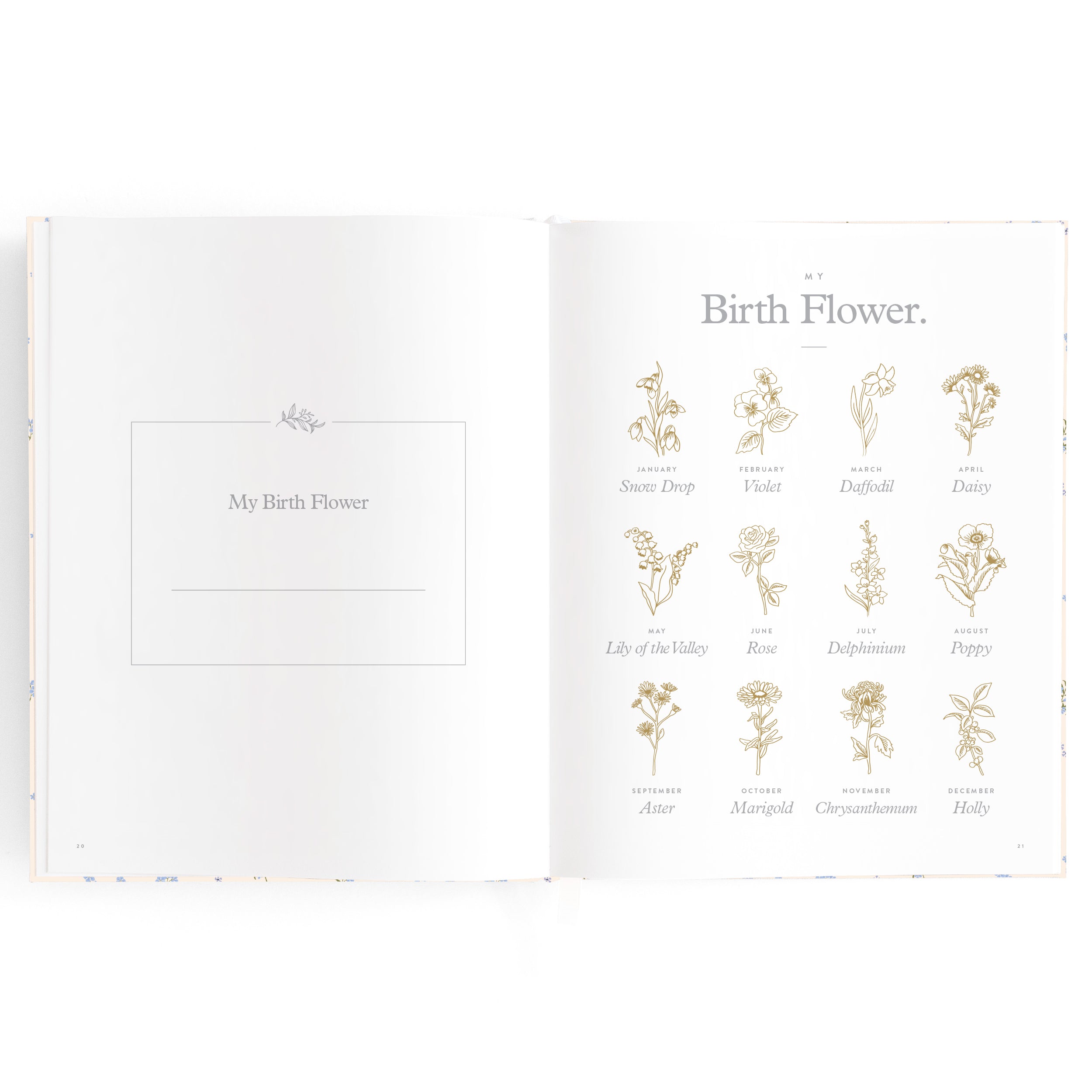 Fox & Fallow Baby Book - Forget Me Not