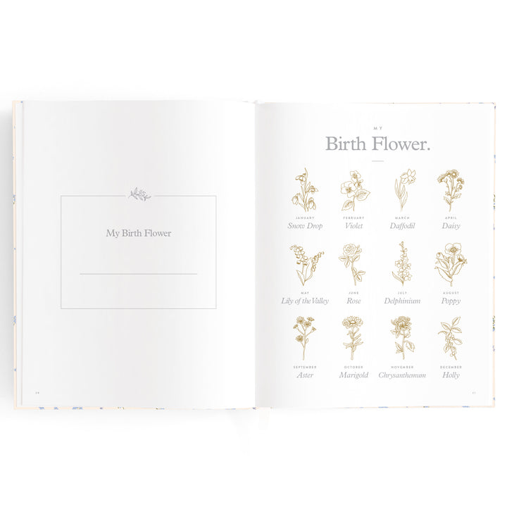 Fox & Fallow Baby Book - Forget Me Not