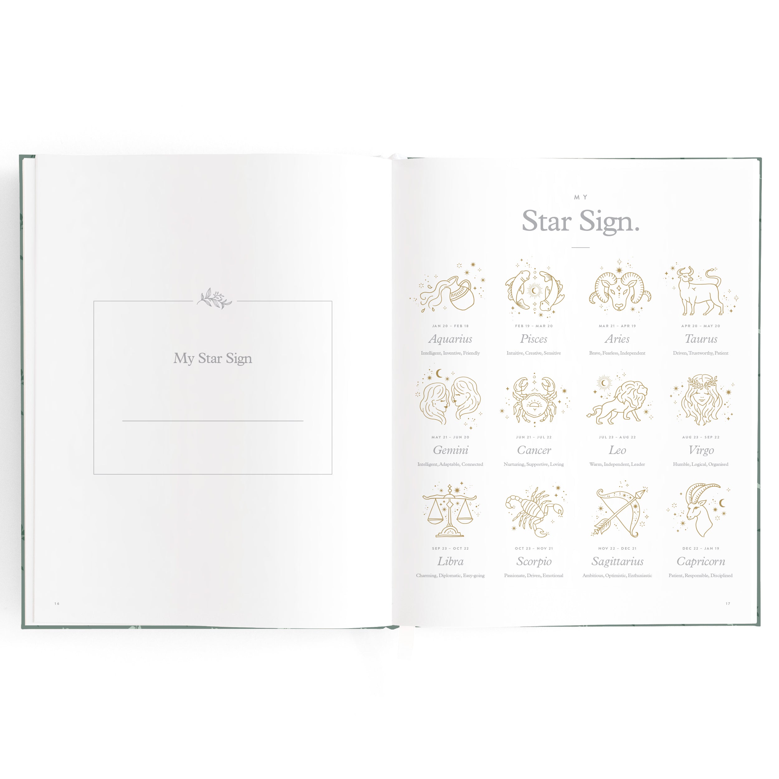 Fox & Fallow Baby Book - Pine
