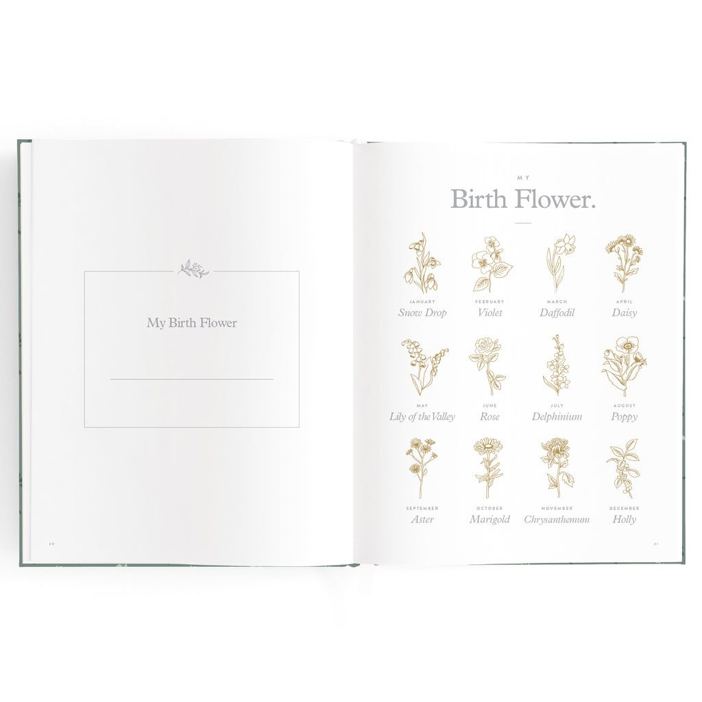 Fox & Fallow Baby Book - Pine