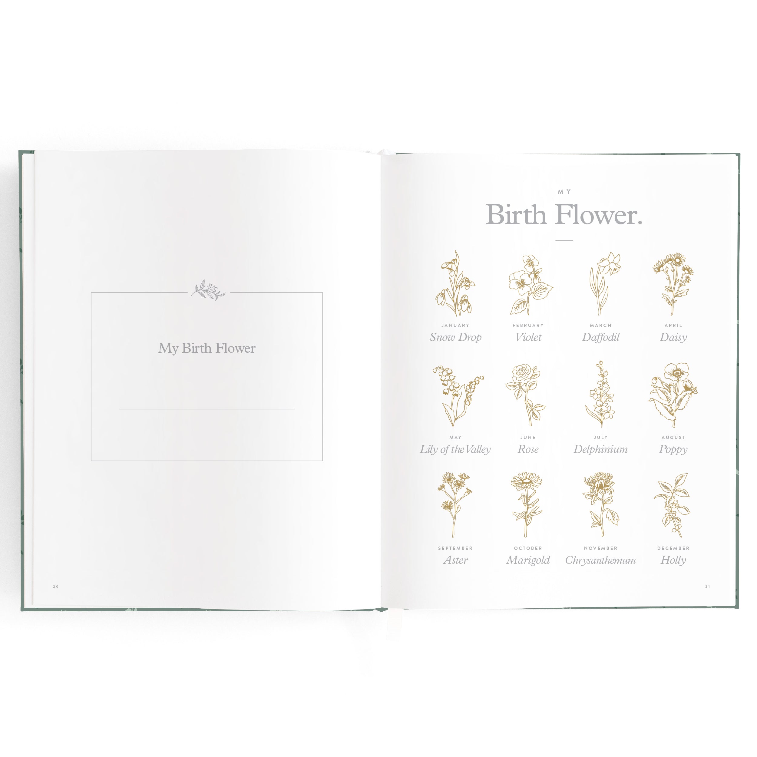 Fox & Fallow Baby Book - Pine