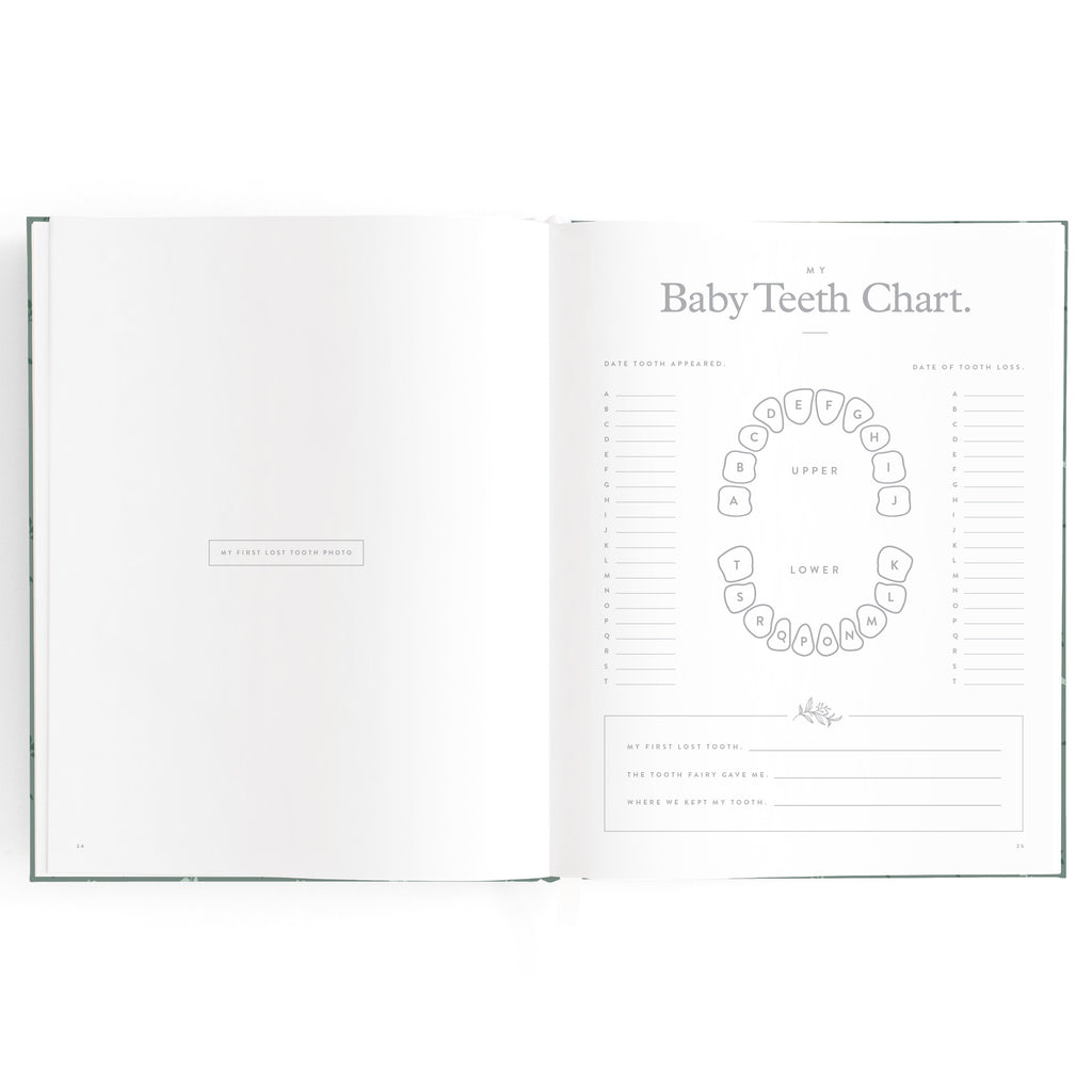 Fox & Fallow Baby Book - Pine