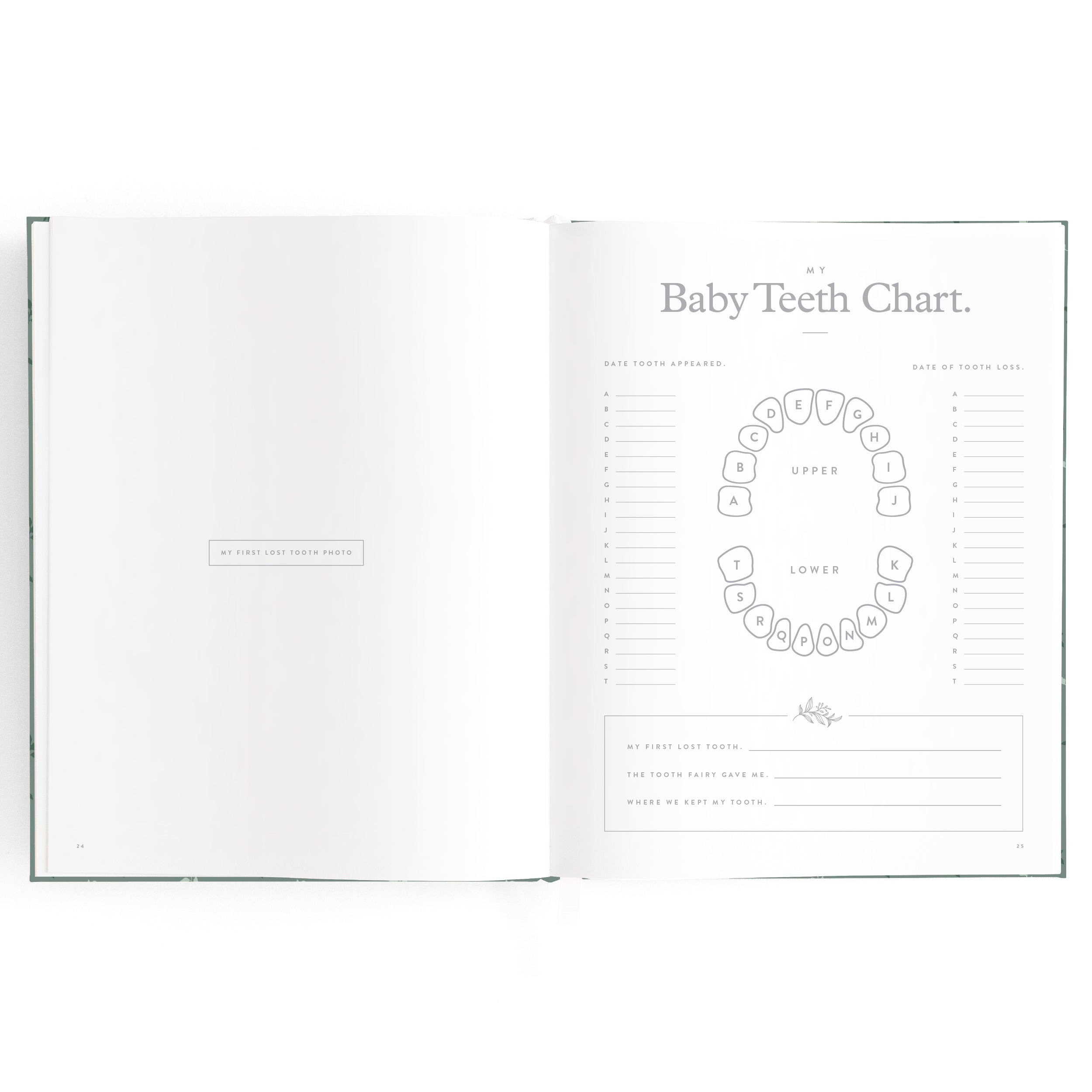 Fox & Fallow Baby Book - Pine