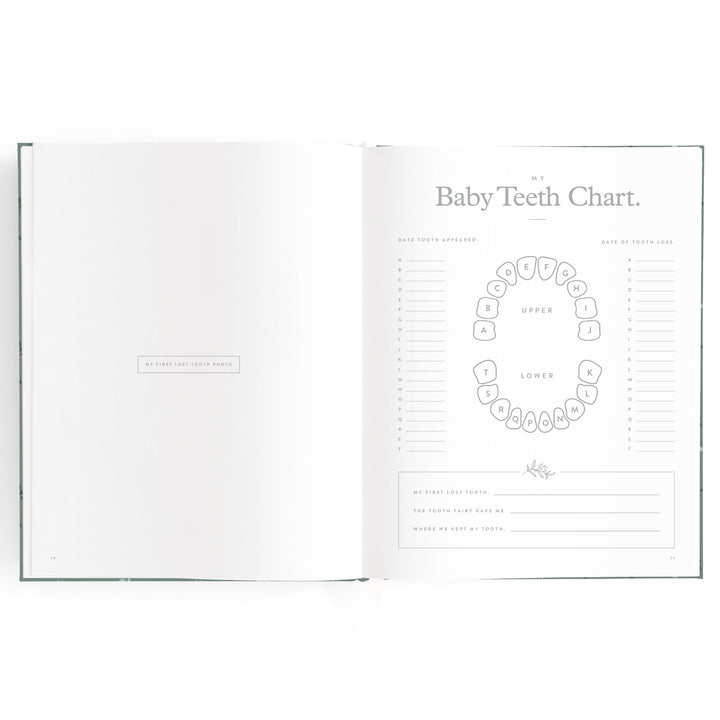 Fox & Fallow Baby Book - Pine (Boxed)