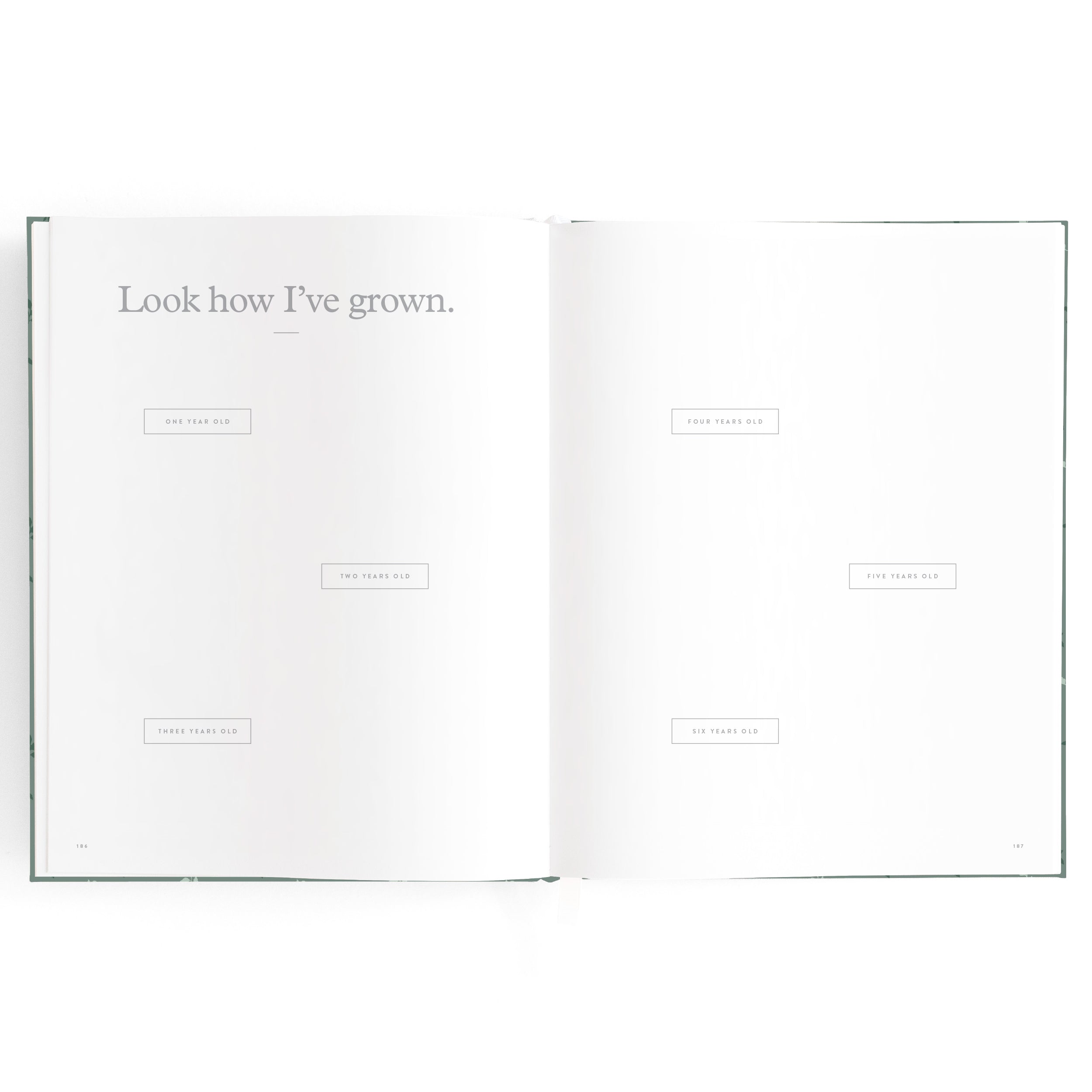 Fox & Fallow Baby Book - Pine