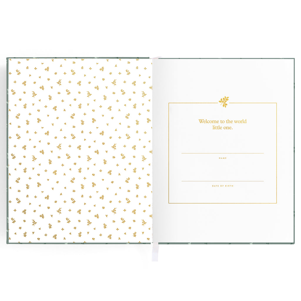 Fox & Fallow Baby Book - Pine