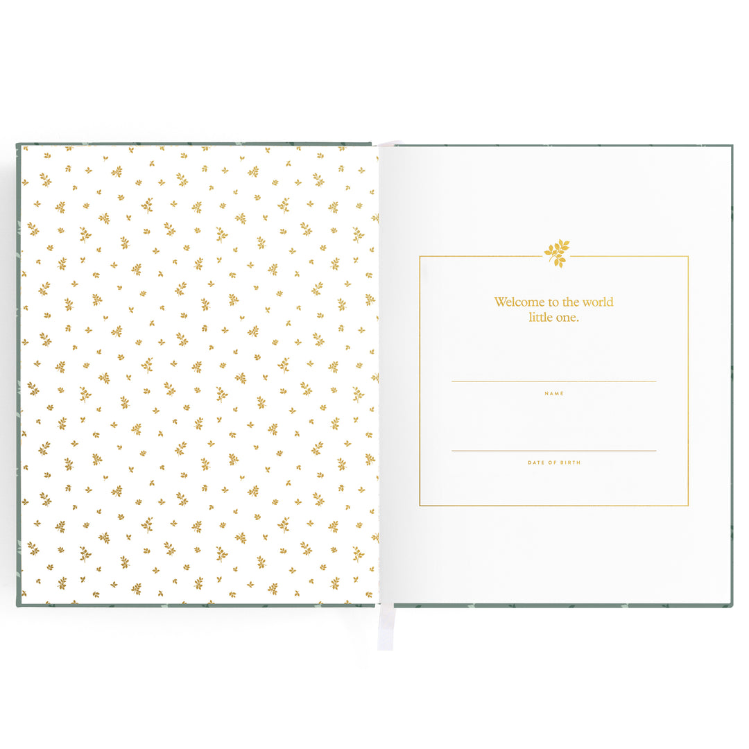 Fox & Fallow Baby Book - Pine (Boxed)