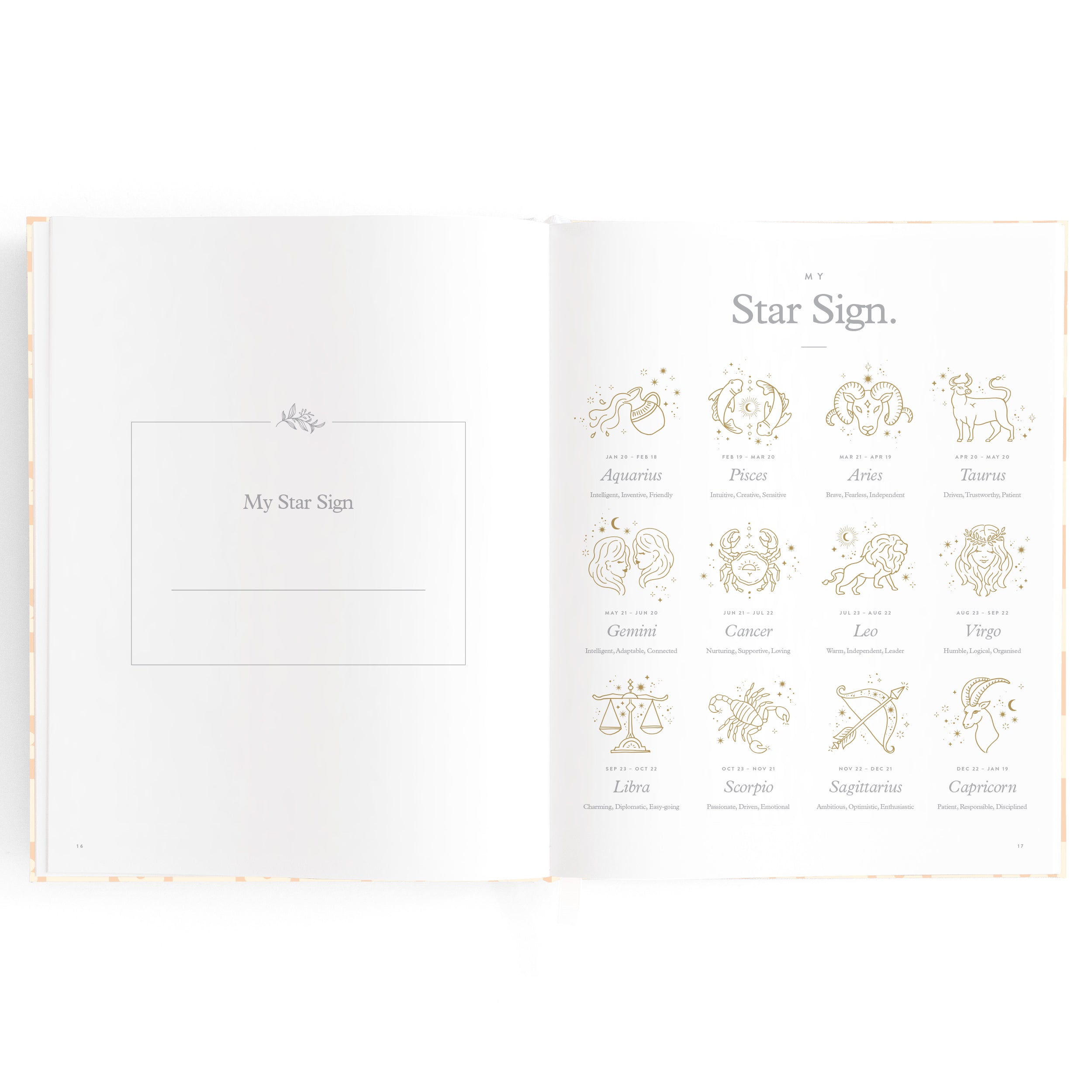 Fox & Fallow Baby Book - Daisy Grid
