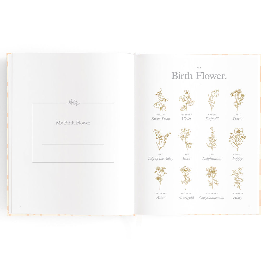 Fox & Fallow Baby Book - Daisy Grid