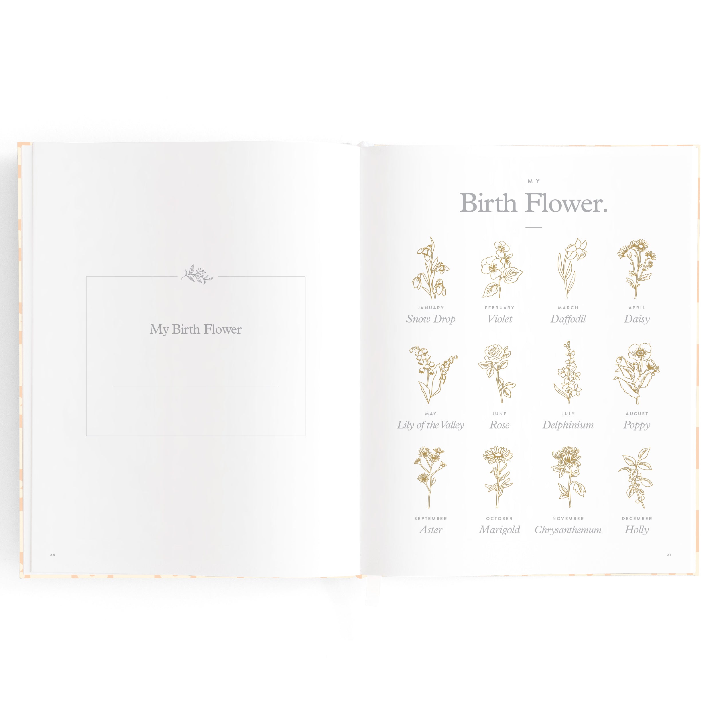 Fox & Fallow Baby Book - Daisy Grid