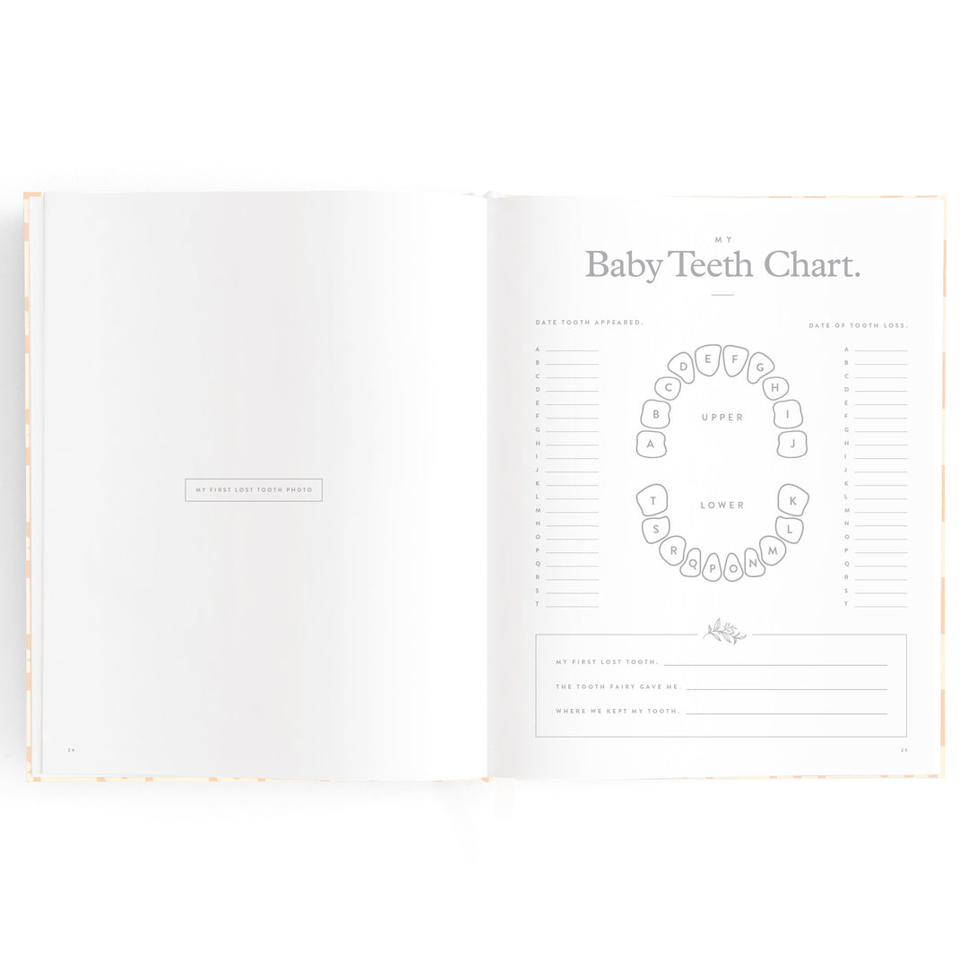 Fox & Fallow Baby Book - Daisy Grid (Boxed)