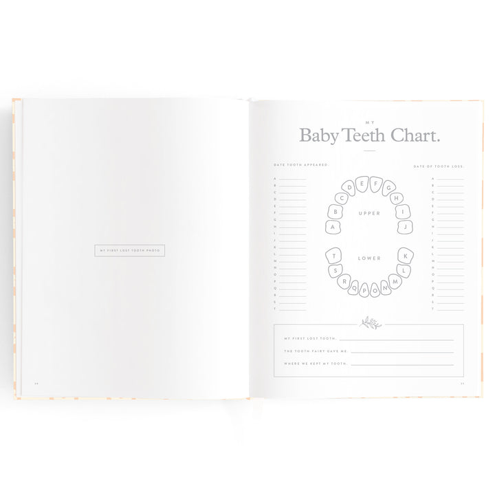 Fox & Fallow Baby Book - Daisy Grid (Boxed)