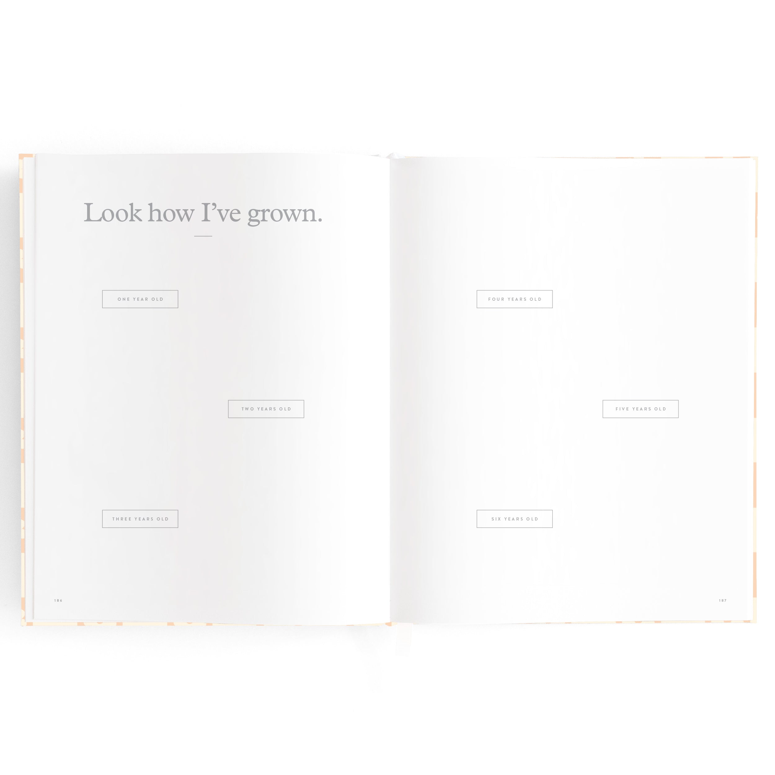 Fox & Fallow Baby Book - Daisy Grid