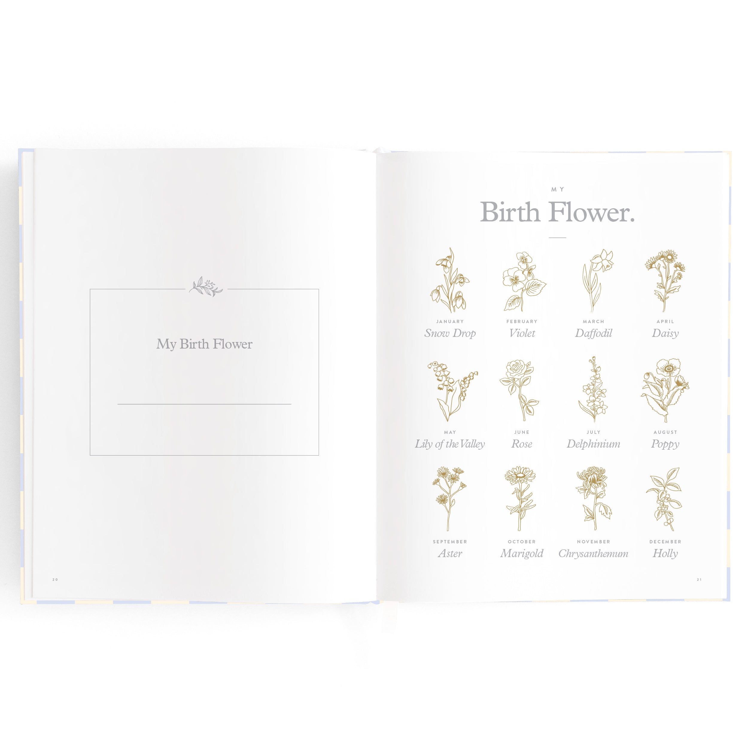 Fox & Fallow Baby Book - Blue Check
