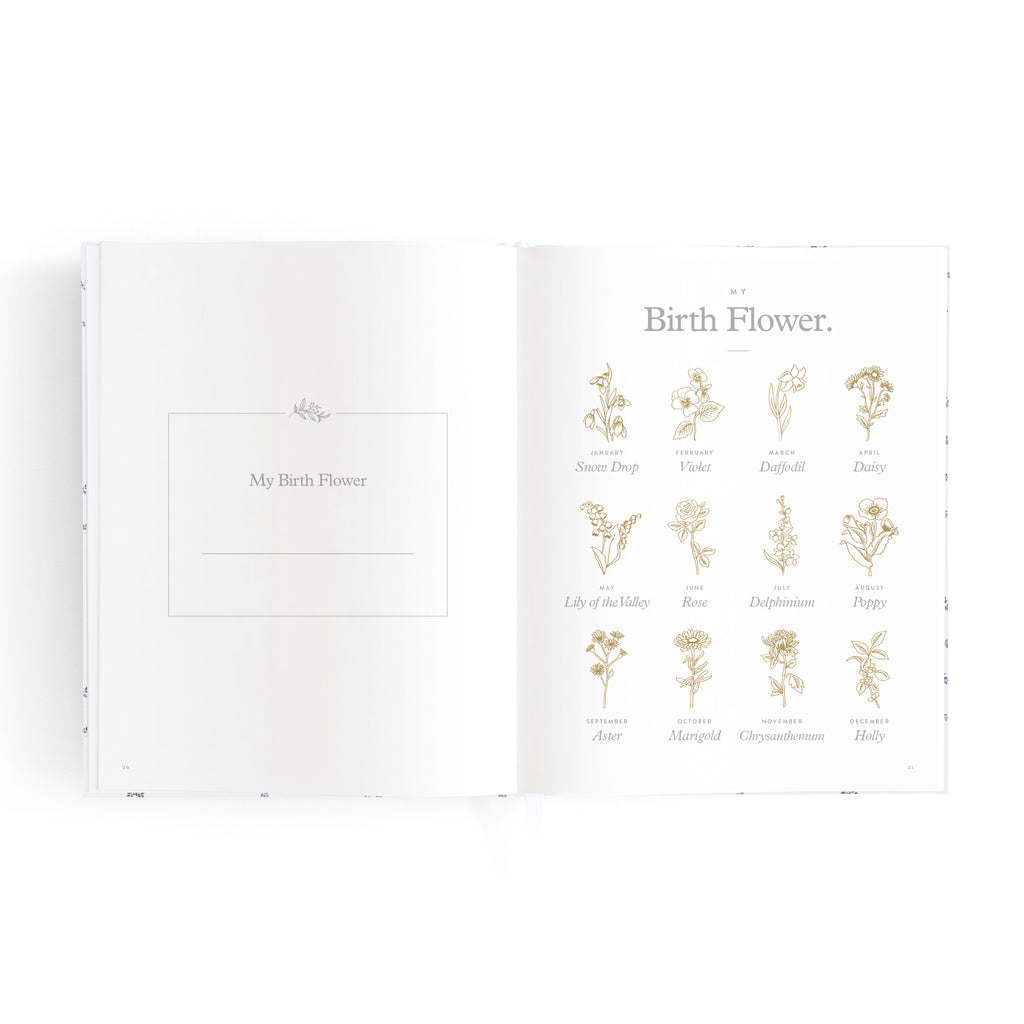 Fox & Fallow Mini Baby Book - Bluebell